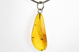 Polished Baltic Amber Pendant (Necklace) - Contains Four Flies! #328452