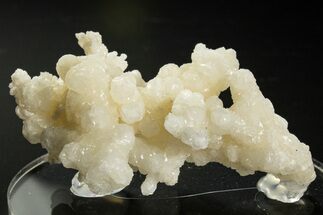 Intricate, Fluorescent Aragonite Formation - Nevada #327486