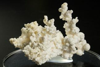 Intricate, Fluorescent Aragonite Formation - Nevada #327501
