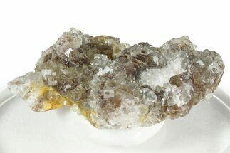 Gemmy Purple Fluorite Cluster - Spain #327160