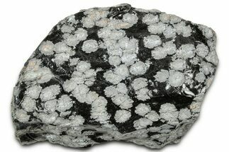Snowflake Obsidian Section - Utah #327110