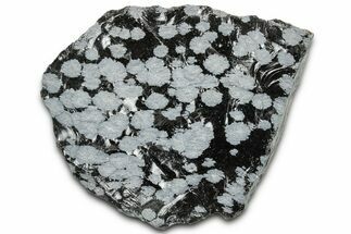 Snowflake Obsidian Section - Utah #327111