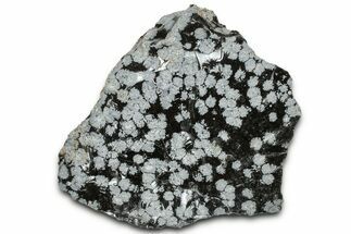 Snowflake Obsidian Section - Utah #327114