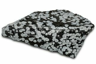 Snowflake Obsidian Section - Utah #327117