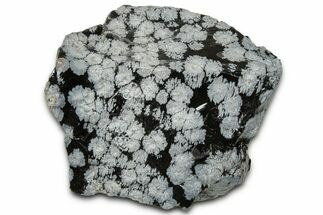 Snowflake Obsidian Section - Utah #327125