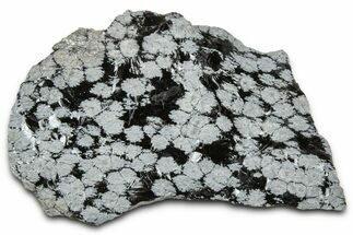 Snowflake Obsidian Section - Utah #327131