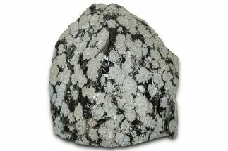 Snowflake Obsidian Section - Utah #327134
