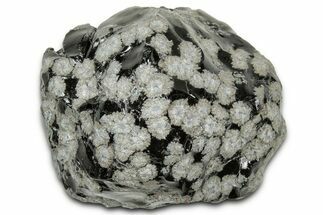 Snowflake Obsidian Section - Utah #327137