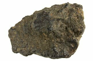 Abadla CM Chondrite Meteorite ( g) - Algeria #313102