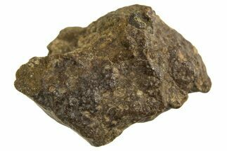 Abadla CM Chondrite Meteorite ( g) - Algeria #313104