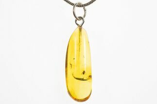 Polished Baltic Amber Pendant (Necklace) - Contains Three Flies! #328545