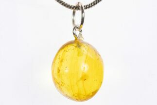 Polished Baltic Amber Pendant (Necklace) - Contains Insect! #328550