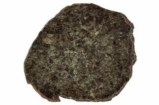 Polished Gold Basin Chondrite Meteorite Slice ( g) - Arizona #329354