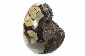 Septarian Dragon Egg Geode - Sparkly Black Crystals #329488