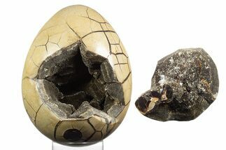 Septarian Dragon Egg Geode - Removable Section #329505