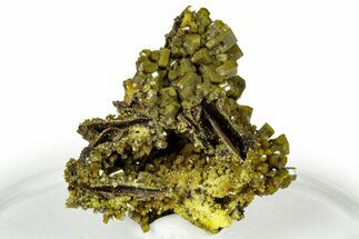 Lustrous Forest-Green Pyromorphite Crystal Cluster - China #330060