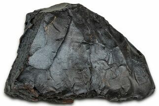 Dragon Scale Stone (Iron, Manganese, Siderite Nodule) #330270