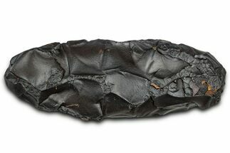 Dragon Scale Stone (Iron, Manganese, Siderite Nodule) #330296