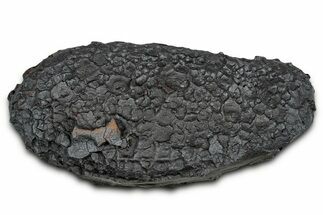 Dragon Scale Stone (Iron, Manganese, Siderite Nodule) #330298