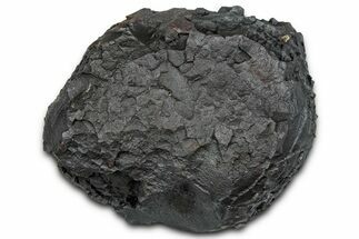 Dragon Scale Stone (Iron, Manganese, Siderite Nodule) #330320