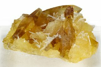 Honey Colored Barite Crystals on Fluorescent Calcite - Elk Creek #330344