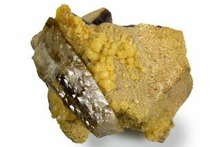 Honey Colored Barite Crystal on Fluorescent Calcite - Elk Creek #330386