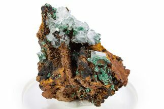 Fibrous Malachite and Rhombohedral Calcite on Limonite - Mexico #330581