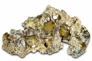 Yellow Andradite-Grossular Garnet Cluster with Clinochlore - Mali #330487