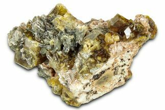 Yellow Andradite-Grossular Garnet Cluster with Clinochlore - Mali #330488