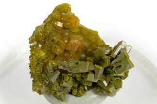 Forest-Green Pyromorphite Crystal Cluster - China #330119