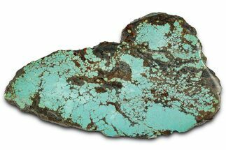 Polished Turquoise Slab - Number Mine, Carlin, NV #331178