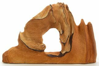 Wide Picture Sandstone Arch - Arizona #331152