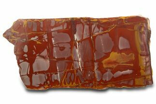 Polished Noreena Jasper Section - Australia #317893