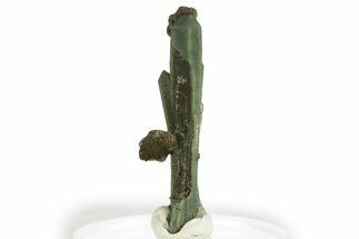 Green Hedenbergite Included Quartz Crystals - Mongolia #331867