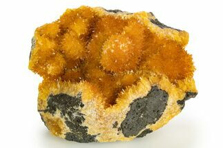 Intense Orange Calcite Crystal Cluster - Poland #331956