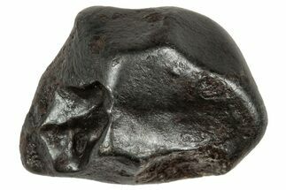 Fusion Crusted Sikhote-Alin Iron Meteorite ( g) - Russia #333106