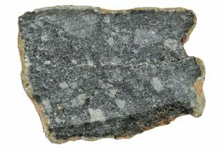Polished Lunar Meteorite ( g) End Cut Slice - NWA #333148