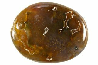 Polished Ocean Jasper Stone - Madagascar #329992