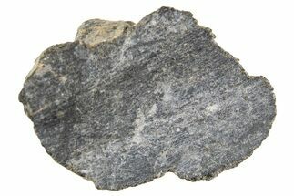 Polished Lunar Meteorite ( g) End Cut Slice - NWA #333179