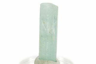 Gemmy Vanadium Emerald Beryl Crystal - Nigeria #333821