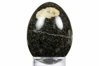 Polished Big Horn Spotted Leopard Stone Egg - Wyoming #334193