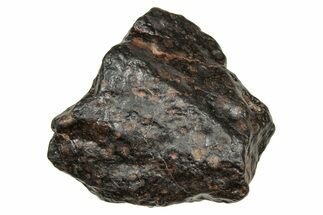 Carbonaceous Chondrite Meteorite ( g) - NWA #334338