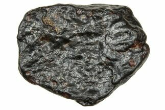 Carbonaceous Chondrite Meteorite ( g) - NWA #334341