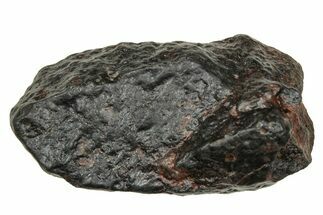 Carbonaceous Chondrite Meteorite ( g) - NWA #334343