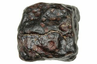 Chondrite Meteorite ( g) - NWA #334363