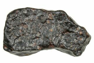 Chondrite Meteorite ( g) - NWA #334369