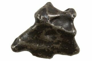 Fusion Crusted Sikhote-Alin Iron Meteorite ( g) - Russia #334599