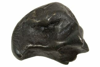 Fusion Crusted Sikhote-Alin Iron Meteorite ( g) - Russia #334602