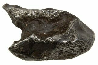 Fusion Crusted Sikhote-Alin Iron Meteorite ( g) - Russia #334612