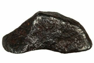Gibeon Iron Meteorite ( g) - Namibia #334709